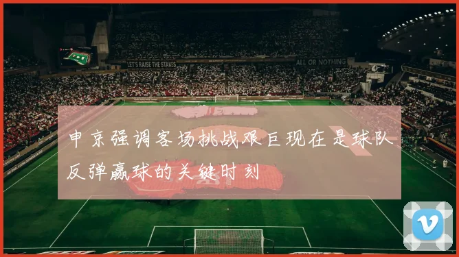 申京强调客场挑战艰巨现在是球队反弹赢球的关键时刻
